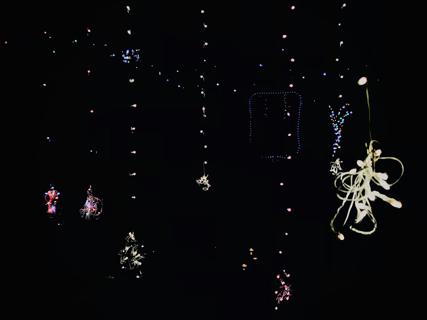 Colorful glowing light strings hanging against a dark background.